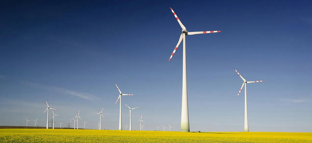  a green field with many wind turbines standing in it, tall against a blue sky